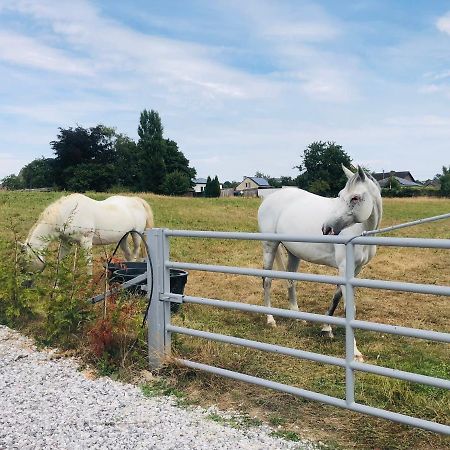 Le Gite De Golette Mettet Exterior foto
